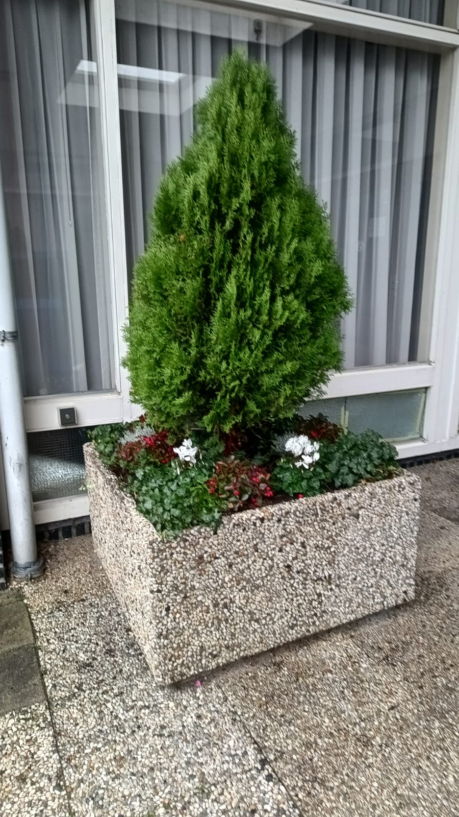 De bloembakken zijn al in kerstsfeer